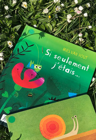 Livres posés dans l'herbe